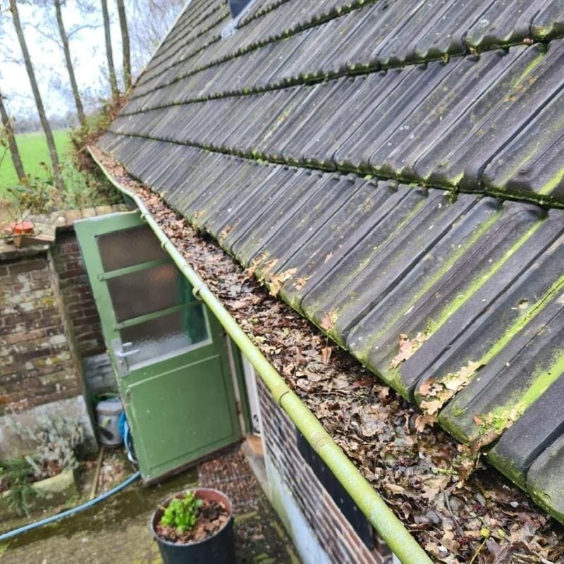 Dakgoot schoonmaken Almelo