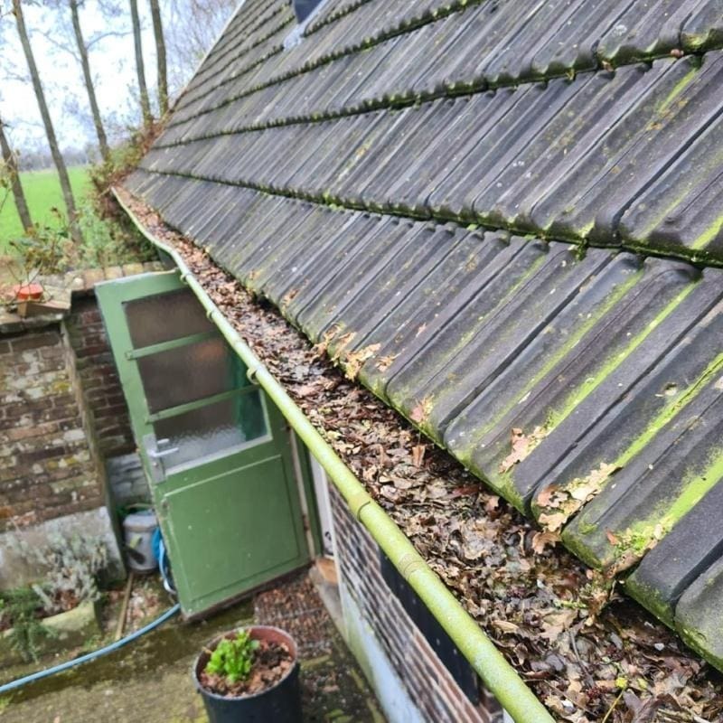 Dakgoot schoonmaken Kampen (1)