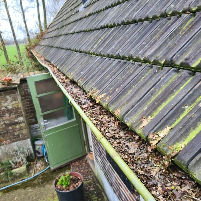 Dakgoot schoonmaken in Biddinghuizen