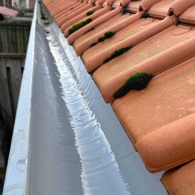 Dakgoot reparatie De Bilt