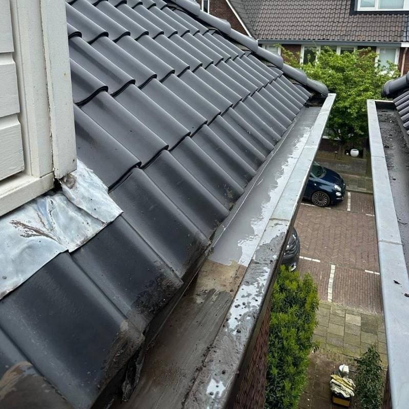 Dakgoot schoonmaken Driebergen Rijsenburg