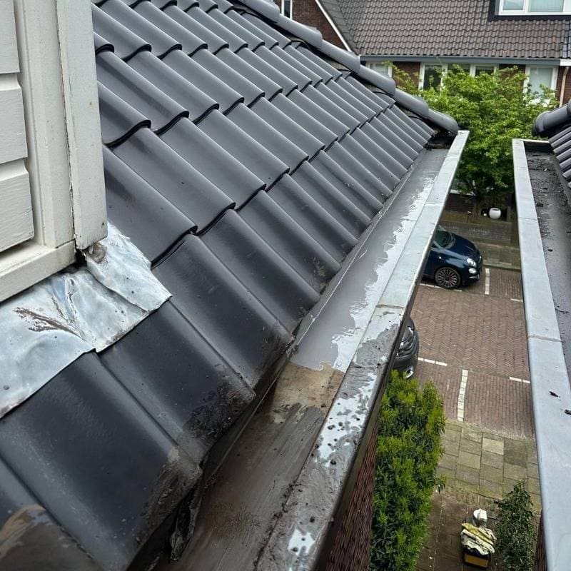 Dakgoot schoonmaken Woudenberg