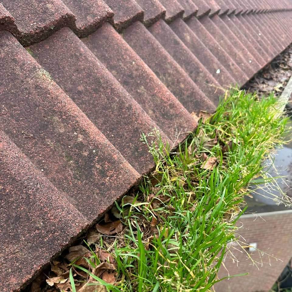 Dakgoot schoonmaken in Barneveld