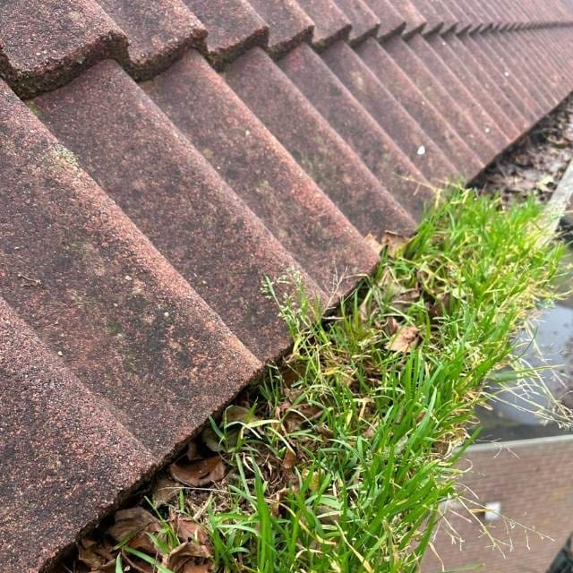 Dakgoot schoonmaken Schipluiden